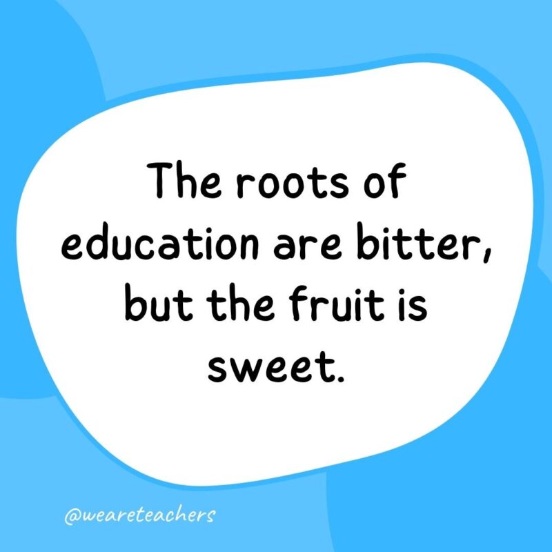 The roots of education are bitter, but the fruit is sweet.